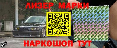 крисы Моздок