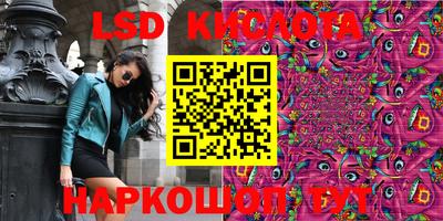 крисы Моздок