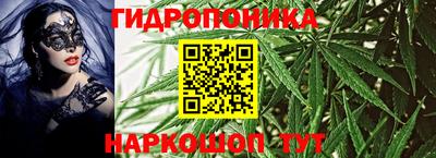 крисы Моздок