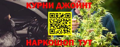 крисы Моздок