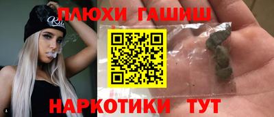 крисы Моздок