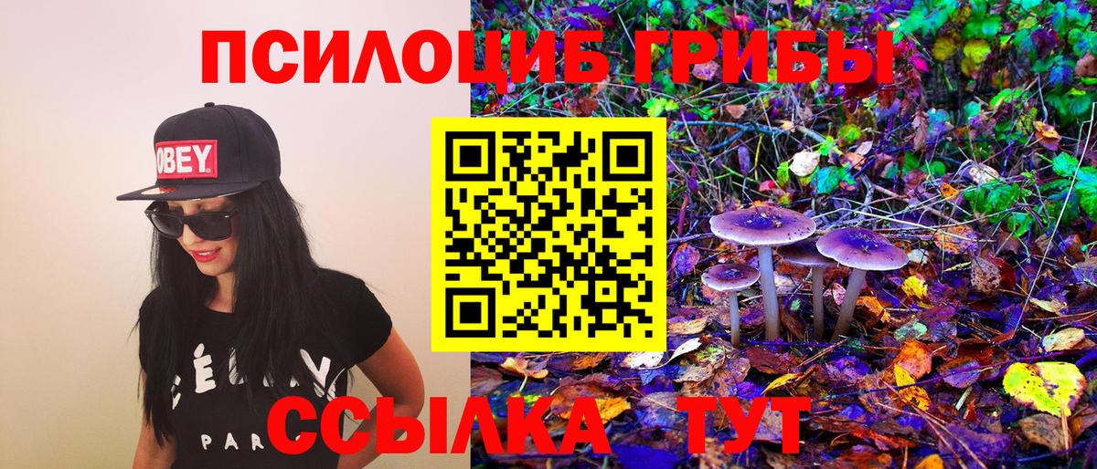 Арсеньев  Галлюциногенные грибы Cubensis  Вход с VPN 